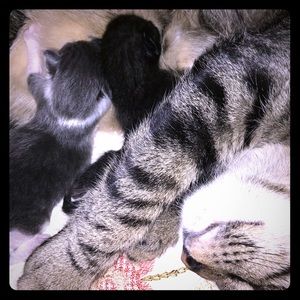 Sharing our new edition to the family